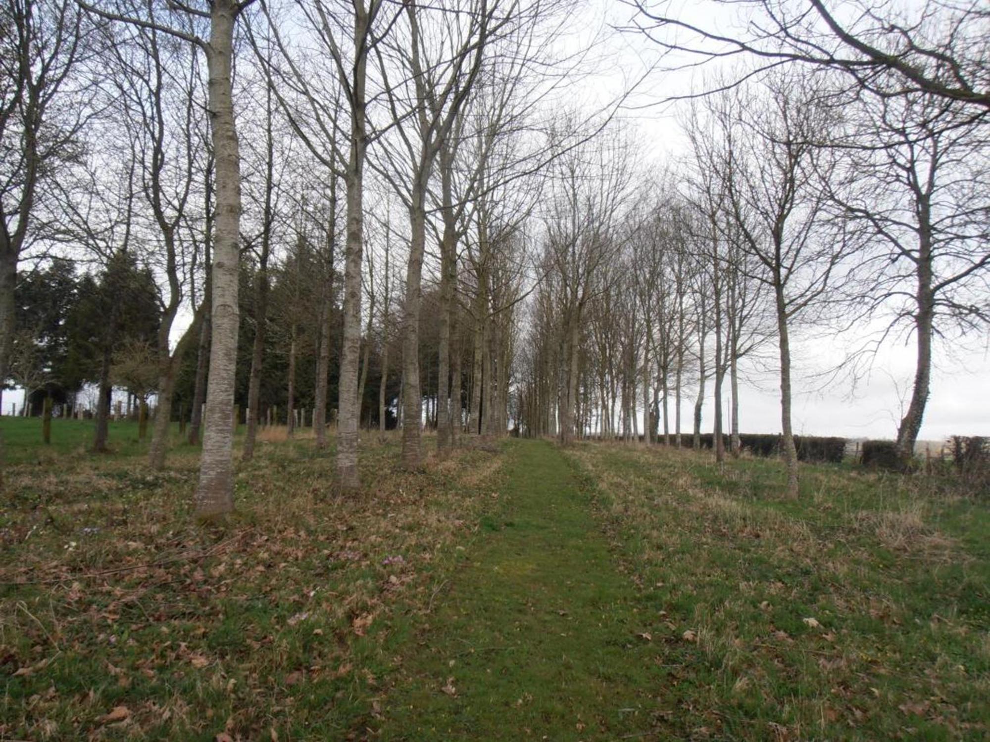 Maison De Charme Avec Grand Jardin, Proche Haras Du Pin, Animaux Acceptes, Ideale Pour Familles - Fr-1-497-5 Saint-Pierre-la-Riviere Luaran gambar